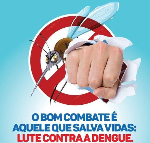 Foco Do Mosquito Aedes Aegypti Encontrado Em Bra O Do Norte Portal