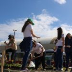 Programa de arborização e revitalização da Famor foi lançado na praça da Cohab João de Barro, em Orleans