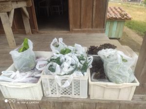Horta Agroecológica do Unibave realiza doações de alimentos no Bairro São Gerônimo, em Orleans