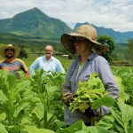 Orleans: Agronegócio é responsável por cerca de 40% da economia do município