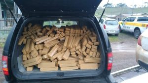 Mais de 250 kg de maconha são apreendidos pela PMRv em Bom Jardim da Serra Mais de 250 kg de maconha são apreendidos pela PMRv em Bom Jardim da Serra