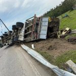 Caminhão que transportava frangos tomba em Lauro Müller