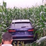 Assalto em Criciúma: Veículos são abandonados em milharal em Nova Veneza