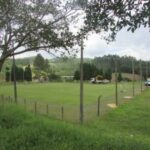 Dia do Associado Coorsel em Alto Pedrinhas - Pedras Grandes