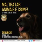 Polícia Civil identifica homem suspeito de ter matado três cães em São Martinho