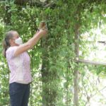 Gestores dos departamentos de Cultura e Turismo de Orleans realizam visita técnica no sítio Aconchego Pé da Serra