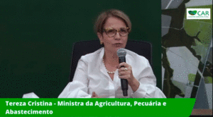 Proteção ambiental: Sistema otimiza análise do Cadastro Ambiental Rural