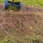 Proprietário relata sumiço de novilha na localidade de Serraria, em Orleans Proprietário relata sumiço de novilha na localidade de Serraria, em Orleans