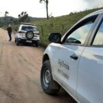 Abatedouro clandestino suspeito de vender carne de cavalo é localizado em Lauro Müller