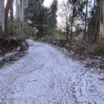 Mais de dez cidades registram neve em SC