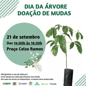 Orleans comemorará dia da árvore com distribuição de mudas nativas