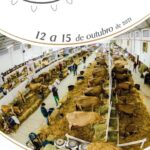 ExpoJersey: feira de exposição de gado Jersey inicia nesta terça-feira, 12