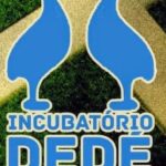 AABB e Dedé fazem a decisão do Suíço em Orleans