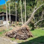 Museu ao Ar Livre Princesa Isabel sofre destelhamento com os temporais do fim de semana