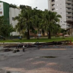 Temporal causa estragos em Orleans