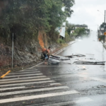 Temporal causa estragos em Orleans