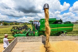 Com expectativa de boa safra, começa colheita de arroz em Santa Catarina