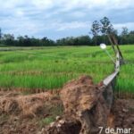 Vendaval causa estragos em Forquilhinha