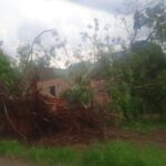 Vendaval causa estragos em Forquilhinha