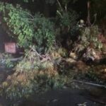 Queda de árvores e poste deixam a SC-108 bloqueada em Urussanga