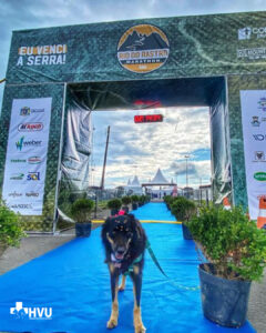 Acadêmicos participam da Rio do Rastro Marathon