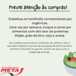 Dia do Meio Ambiente é lembrado no Colégio Meta