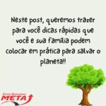 Dia do Meio Ambiente é lembrado no Colégio Meta