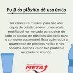 Dia do Meio Ambiente é lembrado no Colégio Meta