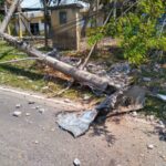 Motorista morto em acidente na rodovia Luiz Rosso foi identificado Motorista morto em acidente na rodovia Luiz Rosso foi identificado