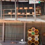 Revitalização do EcoEspaço na EEB São Ludgero acontece com investimento da Cegero Revitalização do EcoEspaço na EEB São Ludgero acontece com investimento da Cegero