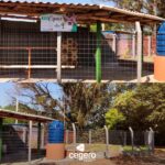 Revitalização do EcoEspaço na EEB São Ludgero acontece com investimento da Cegero Revitalização do EcoEspaço na EEB São Ludgero acontece com investimento da Cegero