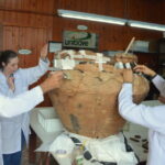 Artefato de cerâmica Tupiguarani é remontado no Museu ao Ar Livre em Orleans