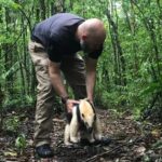 UniSul desenvolve projeto de pesquisa e proteção de animais silvestres