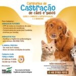 São Ludgero lança campanha para castração de cães e gatos