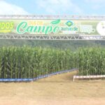 Público prestigia "Dia de Campo" promovido pela Cooperativa Regional Auriverde, em Orleans