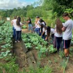 Alunos da Escola Dom Joaquim visitam Fazenda Experimental do Unibave