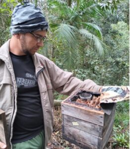 Agricultor de Orleans investe na criação de abelhas nativas