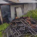 Estufa de secagem de fumo foi atingida por incêndio em Orleans