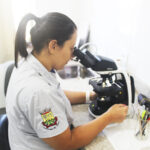 Laboratório de Entomologia agiliza combate as endemias em São Ludgero