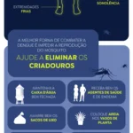 Brasil supera 1 mil mortes por dengue este ano