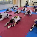 Mestres do Taekwondo se reúnem em Orleans