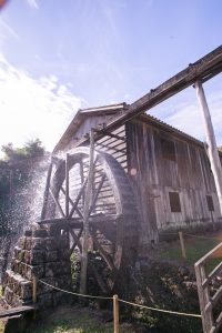 Museu ao Ar Livre completa 44 anos e visitantes terão entrada gratuita nesta sexta-feira (30/08)