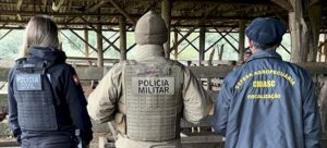 Operação Campo Seguro recupera 23 gados furtados