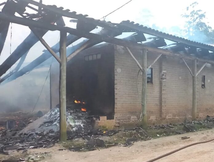 WhatsApp Image 2024-10-24 at 09.46.44 (2)