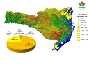 Epagri usa imagens de satélite para mapear bananais de Santa Catarina