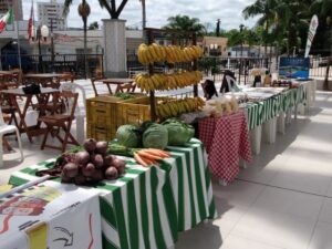 Epagri abre inscrições para o III Encontro de Agricultura Orgânica em Cocal do Sul