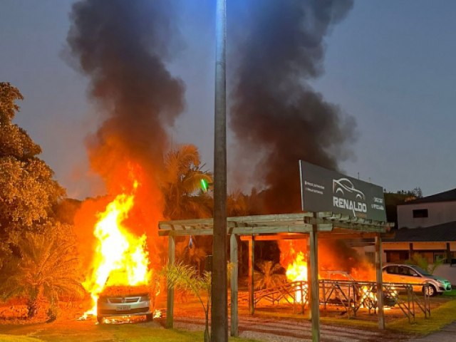 not-8291-20241022202224