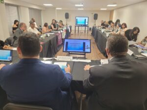 CNDPI Debate Saúde, Previdência e ações para 2025 na 123ª Reunião Ordinária em Brasília