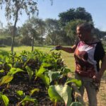 Programa gratuito para a terceira idade está com inscrições abertas no Parque Diamante Programa gratuito para a terceira idade está com inscrições abertas no Parque Diamante