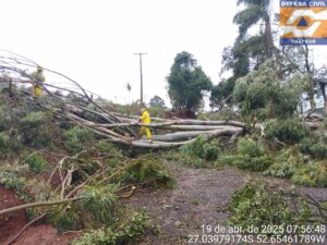 Temporal destelha dezenas de casas em Chapecó